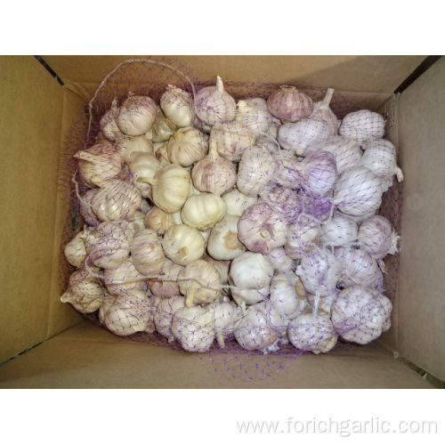 High Quality Fresh Normal White Garlic